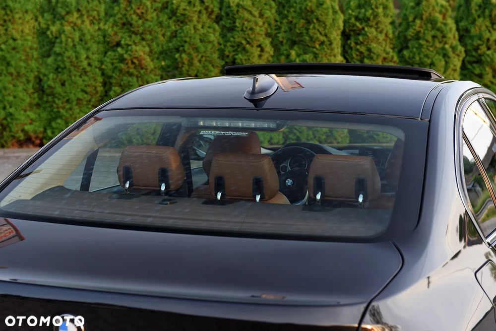 BMW Seria 3 318d Luxury Line - 10