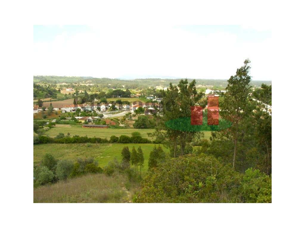 Terreno São João da Ribeira***RIOMAGIC*** - Grande imagem: 3/32