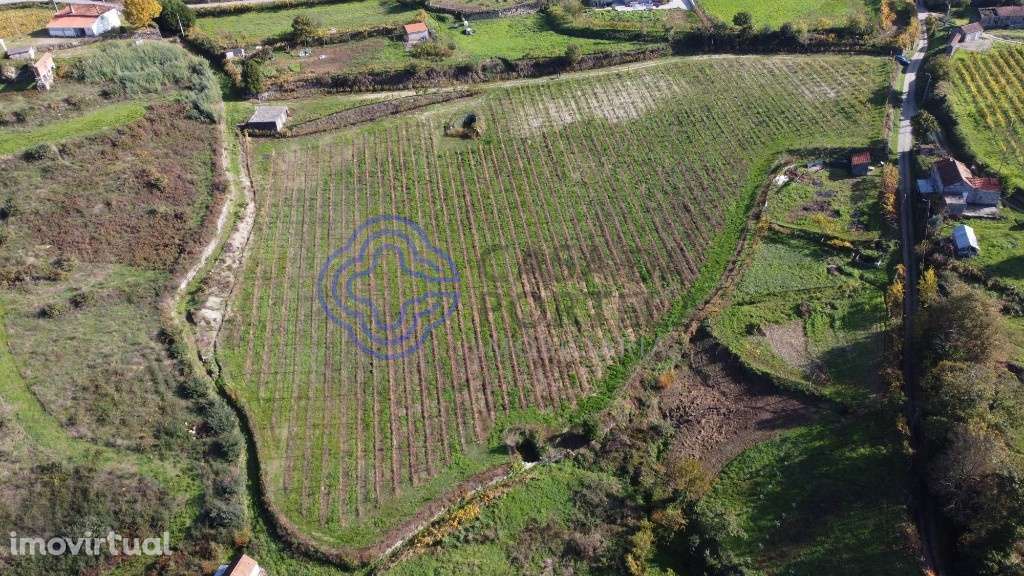 Quinta Agrícola - Gove - Baião - Grande imagem: 5/18