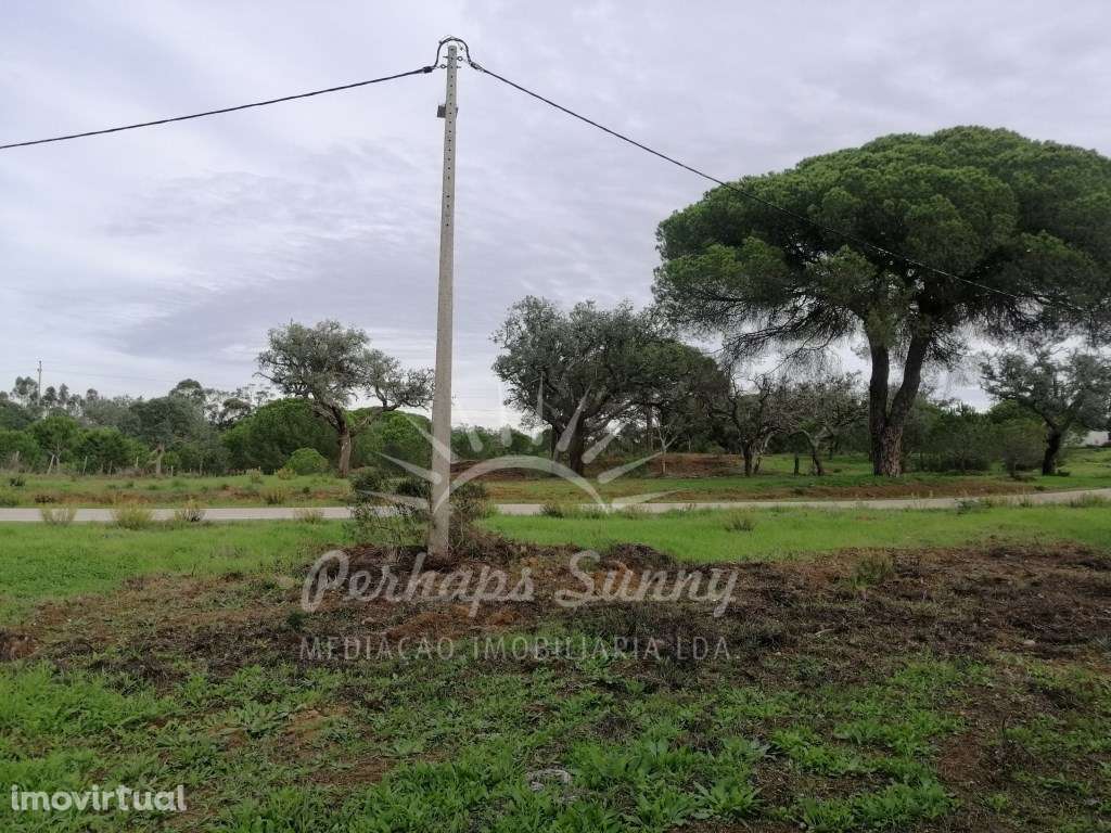 Terreno Rústico em Sobreiras Altas - Melides - Grande imagem: 4/11