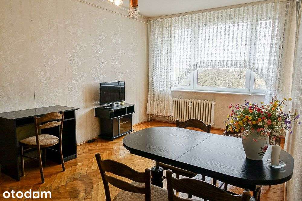 Blisko Wałów Chrobrego, Filharmonii, Parku