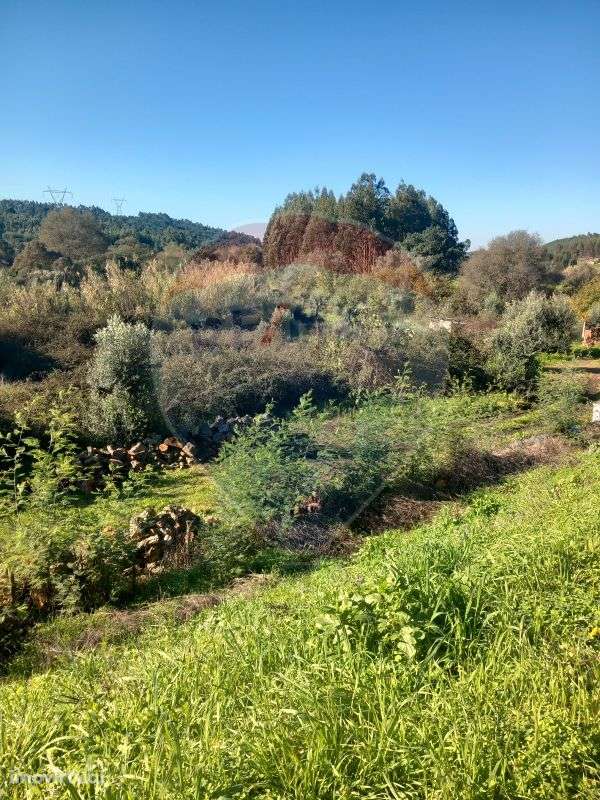 Terreno  para venda - Grande imagem: 3/5