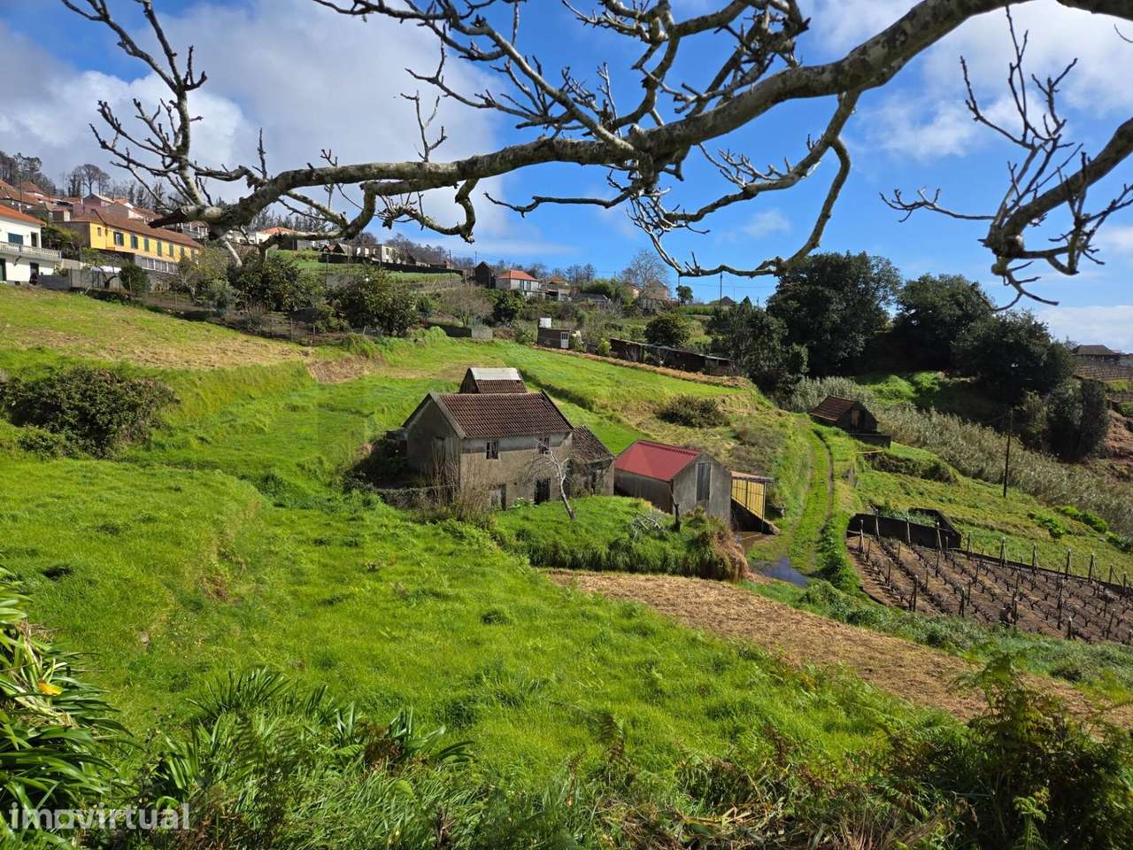 Fajã da Ovelha - O seu Refugio na Madeira - Grande imagem: 2/23