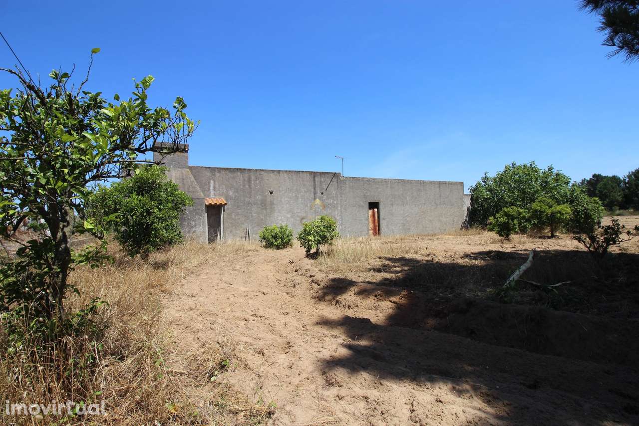 Herdade, Benavente, Coutada Velha - rua da Primavera - Grande imagem: 5/54