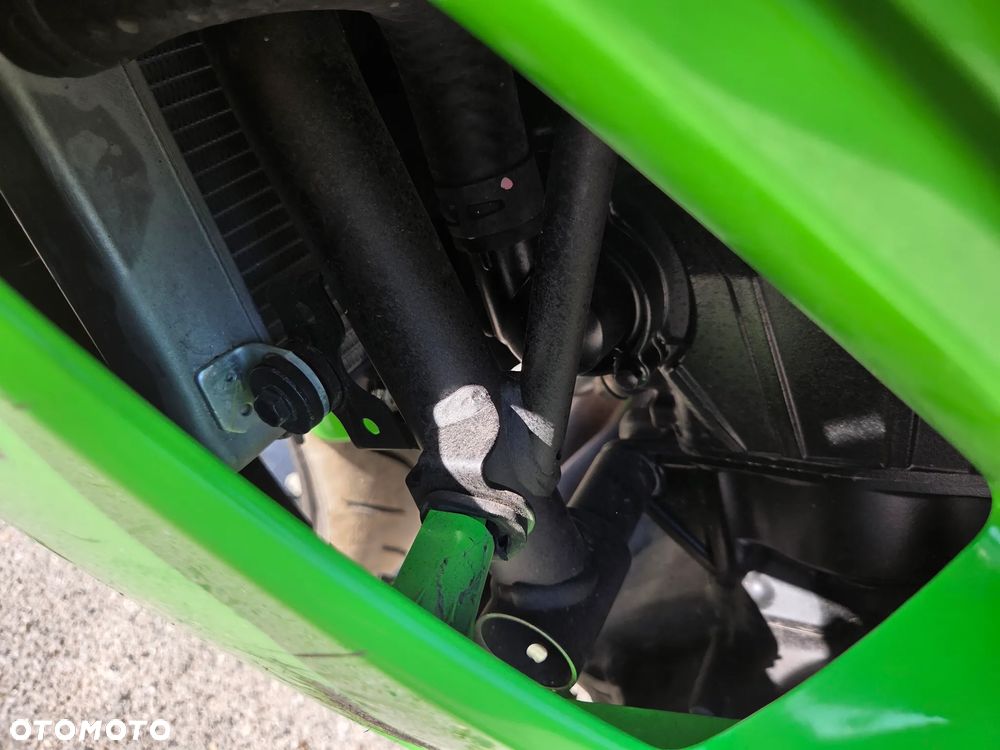 Kawasaki Ninja - 10