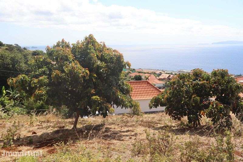 Terreno para Moradia em Santa Cruz - Grande imagem: 3/6