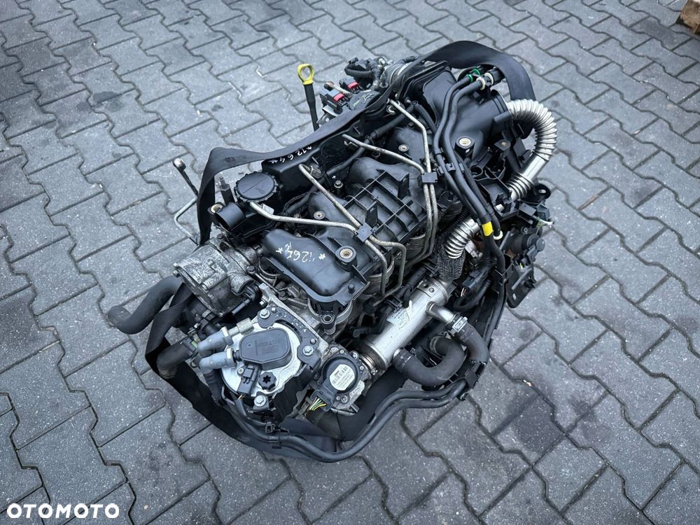 SILNIK 1.6 TDCI G8DD FORD FOCUS II 2010 - 4