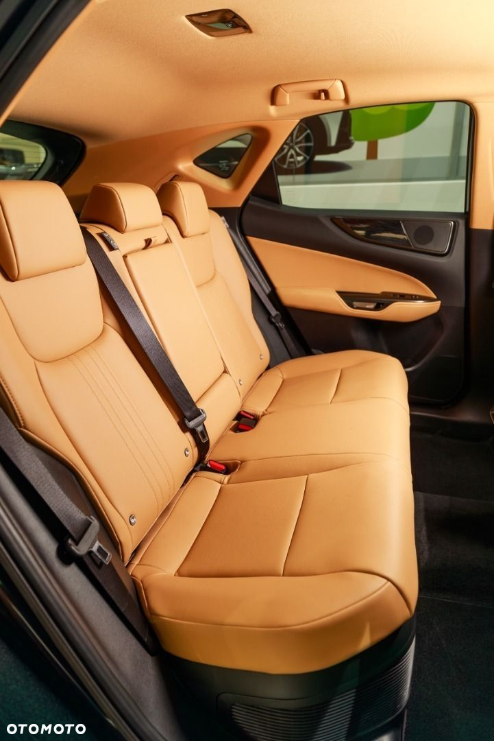 Lexus NX - 14