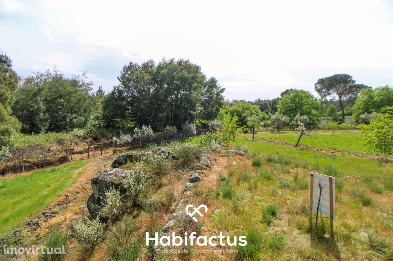 Terreno Agrícola com Vista Desafogada e Grande Potencial – 9.896 m² - Grande imagem: 3/30
