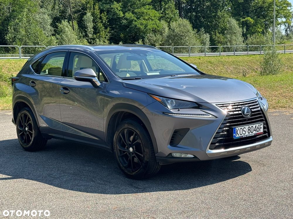 Lexus NX 300h Prestige AWD - 8