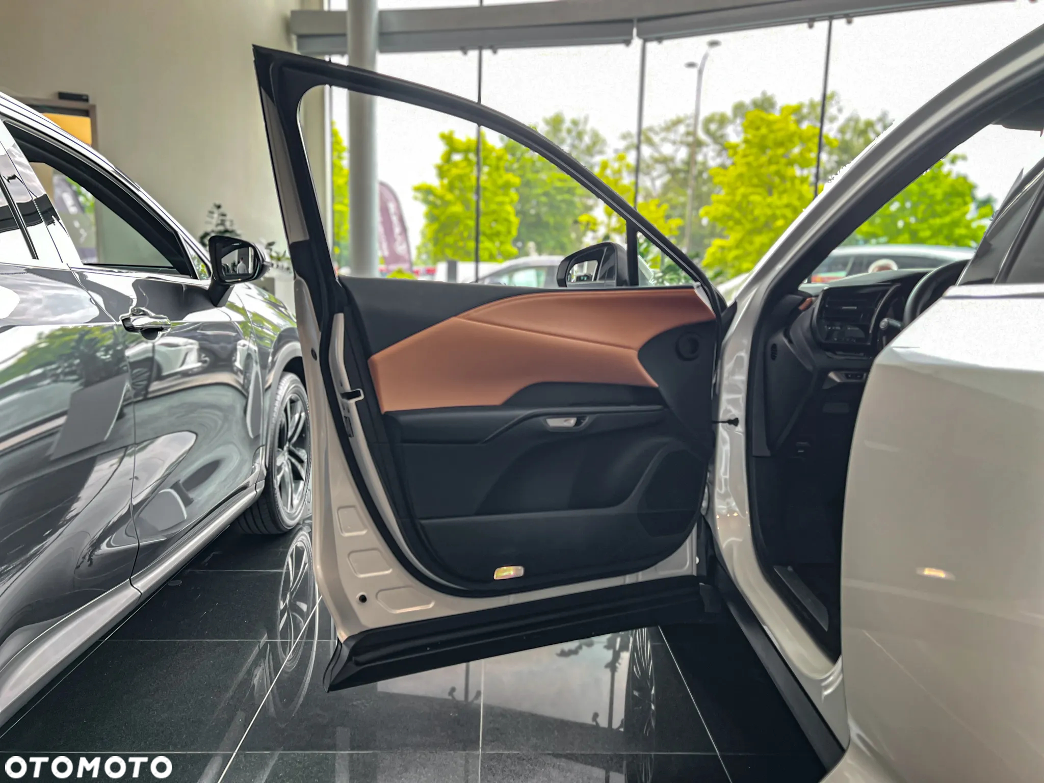 Lexus RX 350h Prestige - 20