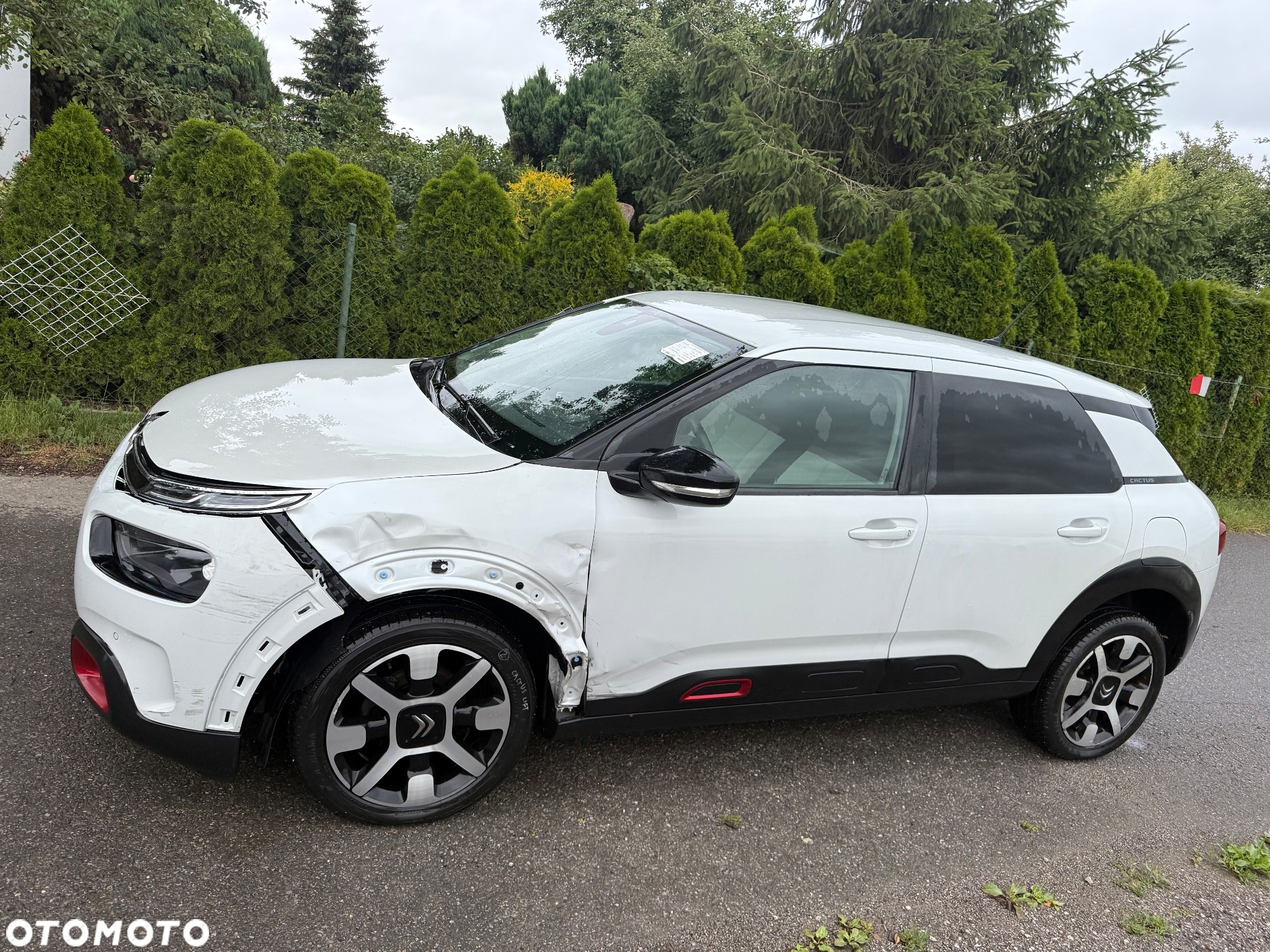 Citroën C4 Cactus 1.2 PureTech GPF Shine S&S EAT6 - 7