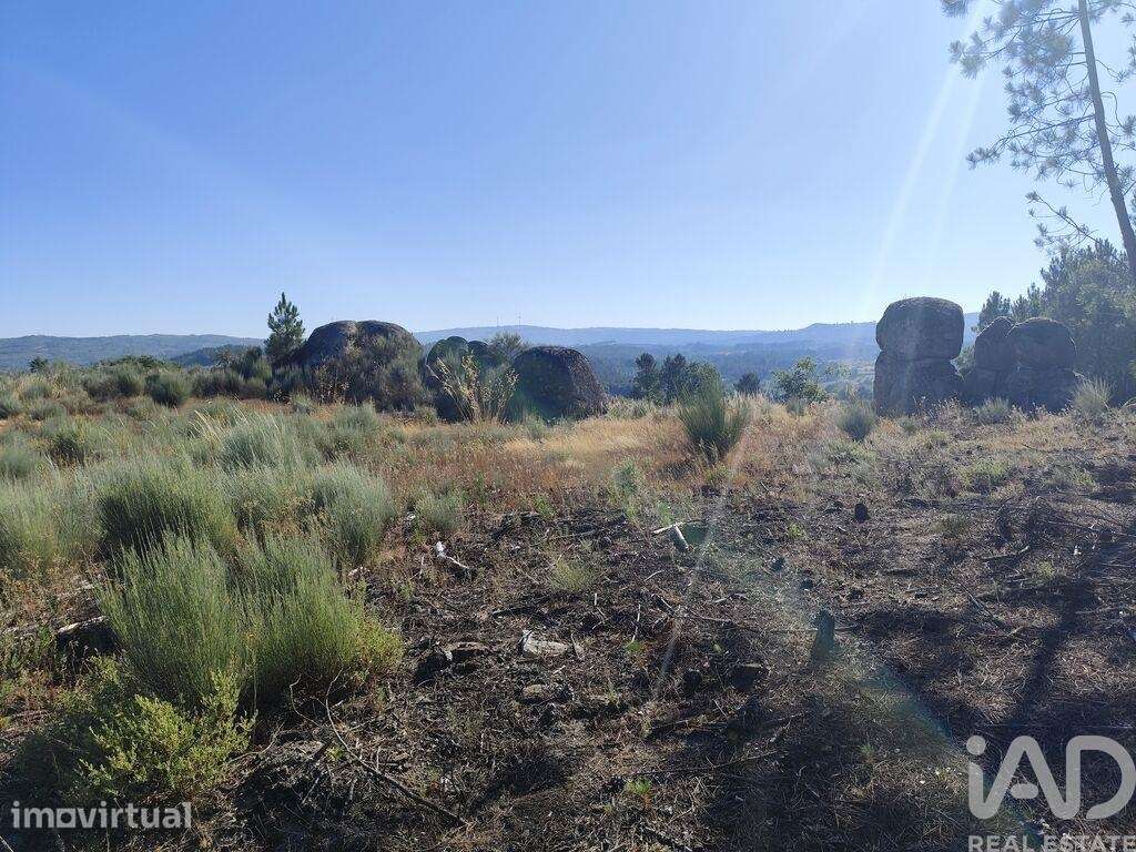 Terreno em Sernancelhe e Sarzeda de 51606,00 m2 - Grande imagem: 3/13