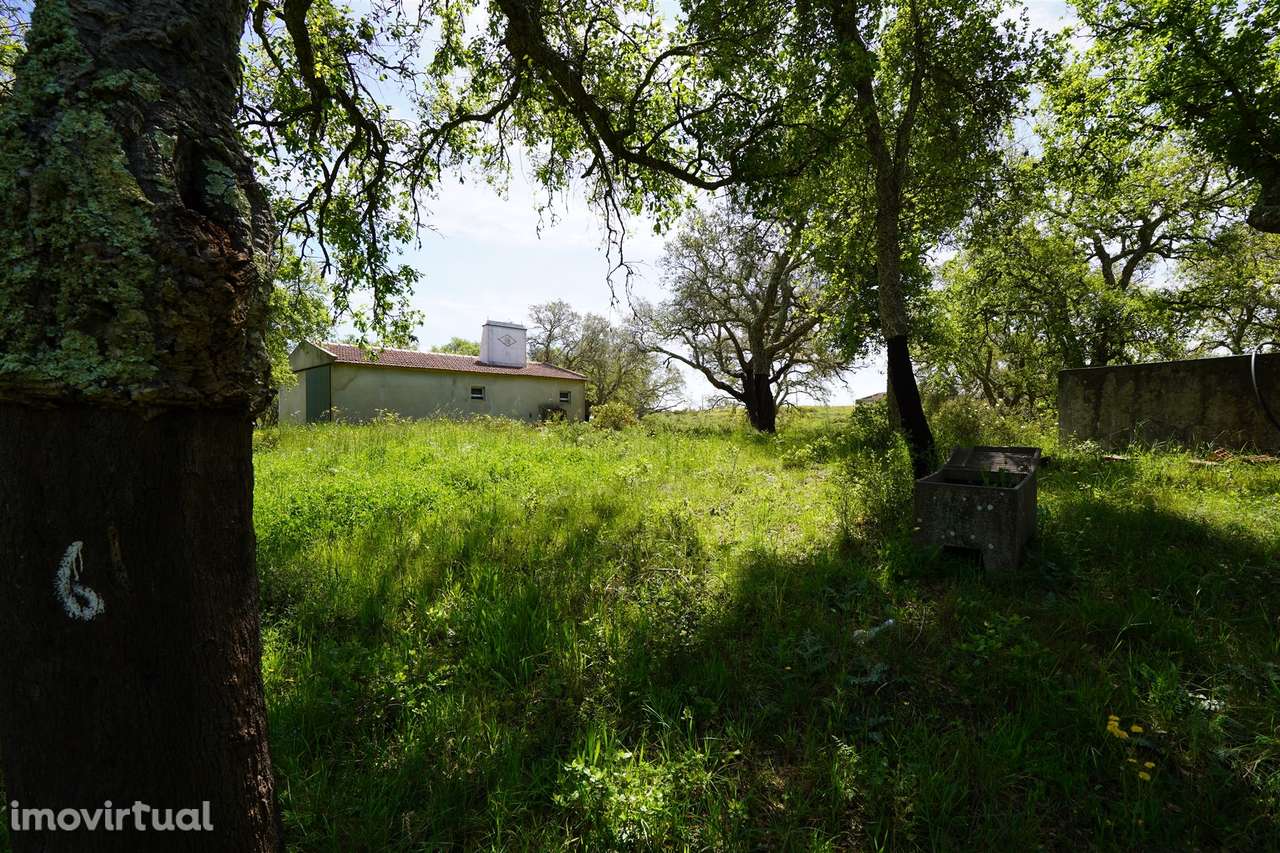 Terreno rústico no Litoral Alentejano - Grande imagem: 4/24