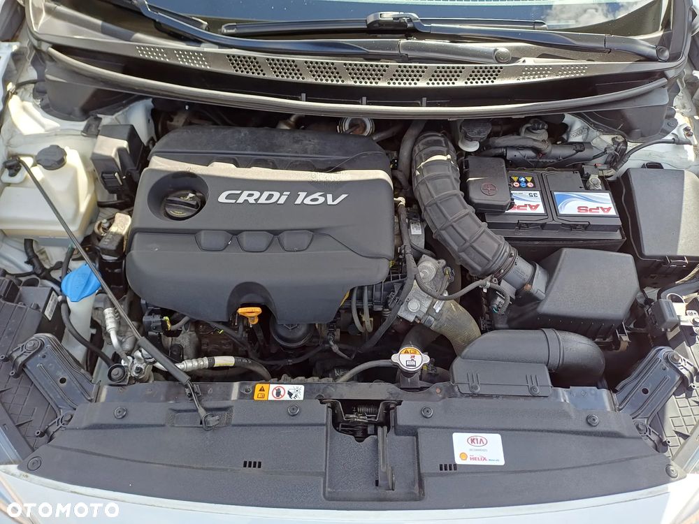 Kia Ceed 1.6 CRDi 128 Dream Team Edition - 18