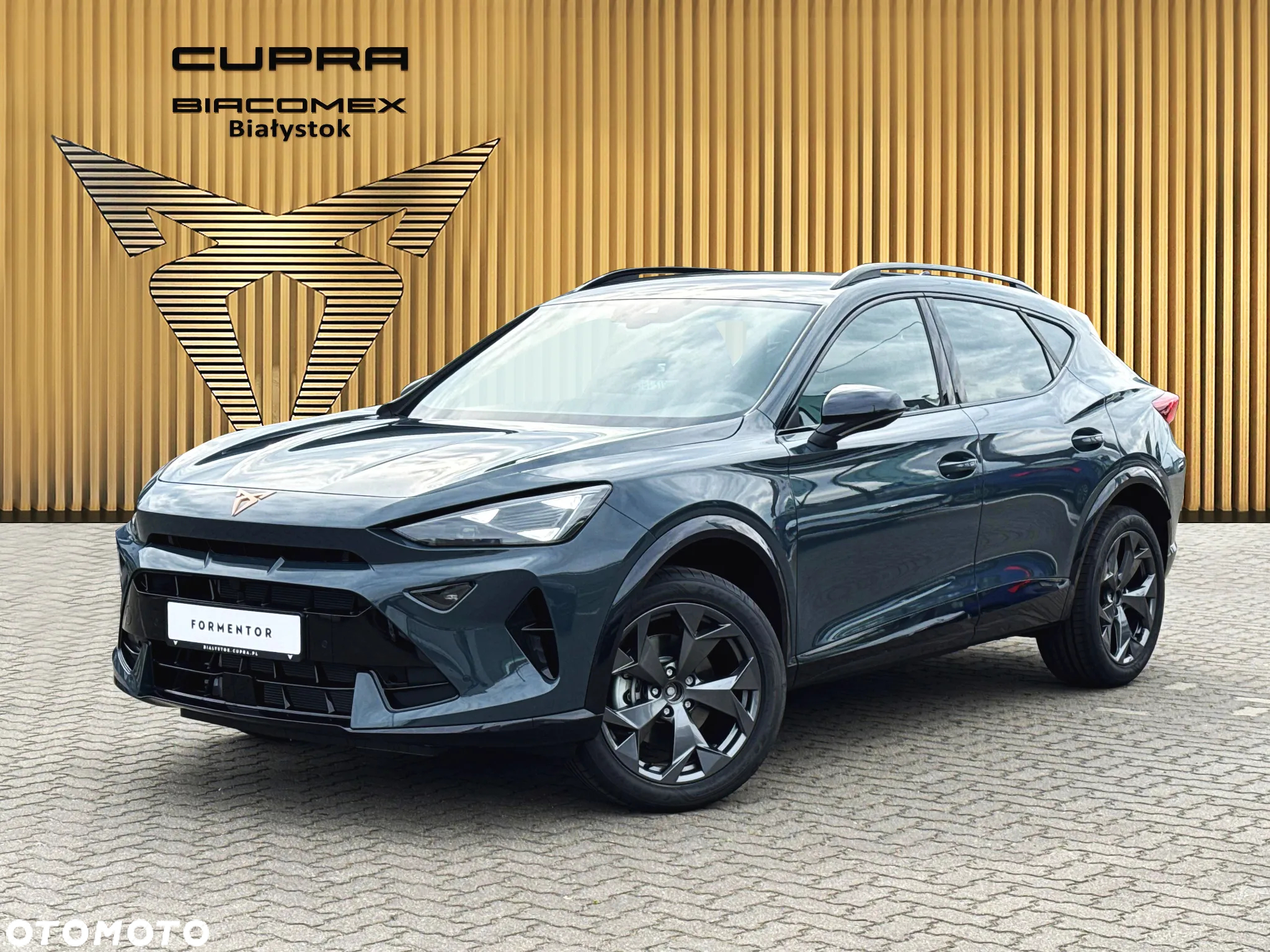 Cupra Formentor 1.5 TSI DSG - 2