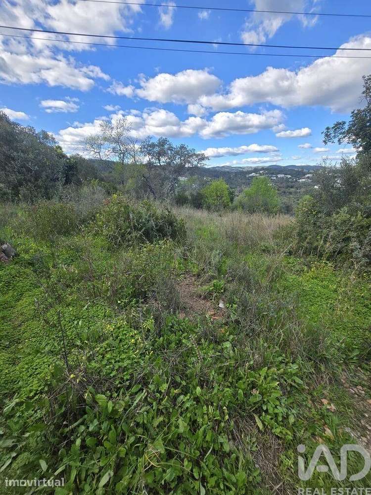 Terreno T3 em São Brás de Alportel de 256,00 m2