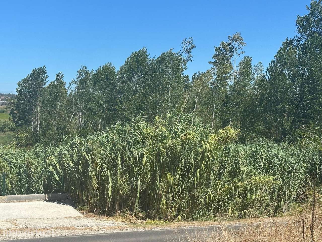Terreno Para Construção  Venda em Amor,Leiria - Grande imagem: 2/19