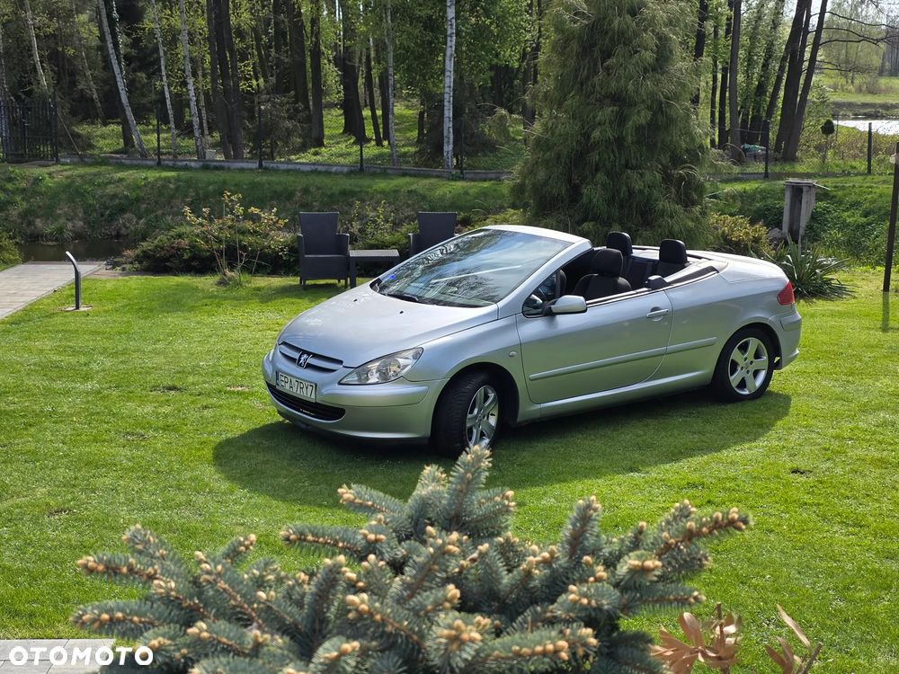 Peugeot 307 2.0 XS Class - 7