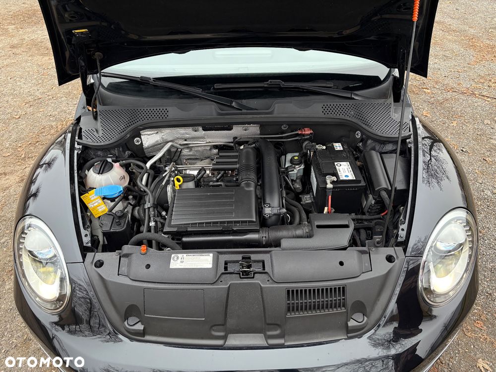 Volkswagen Beetle - 14