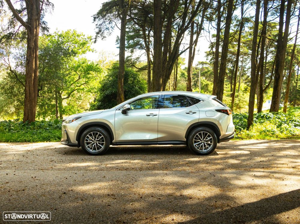 Lexus NX 350h Executive+ - 4