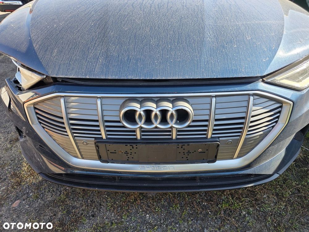 ATRAPA CHŁODNICY GRILL AUDI E TRON 55 QUATTRO - 1