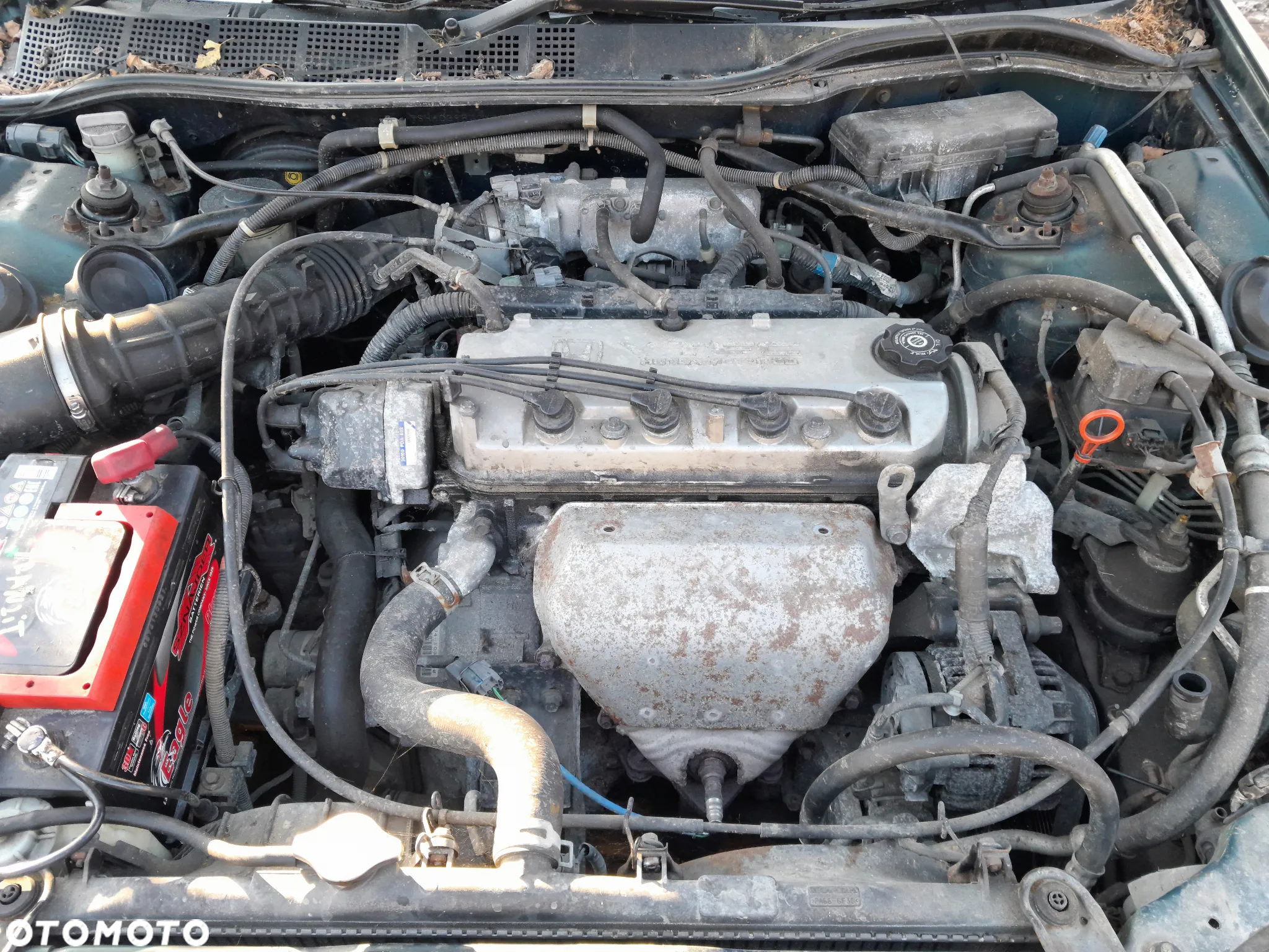 Silnik HONDA Accord VI 97-02r. 2.0 V-TEC F20B6 - 3