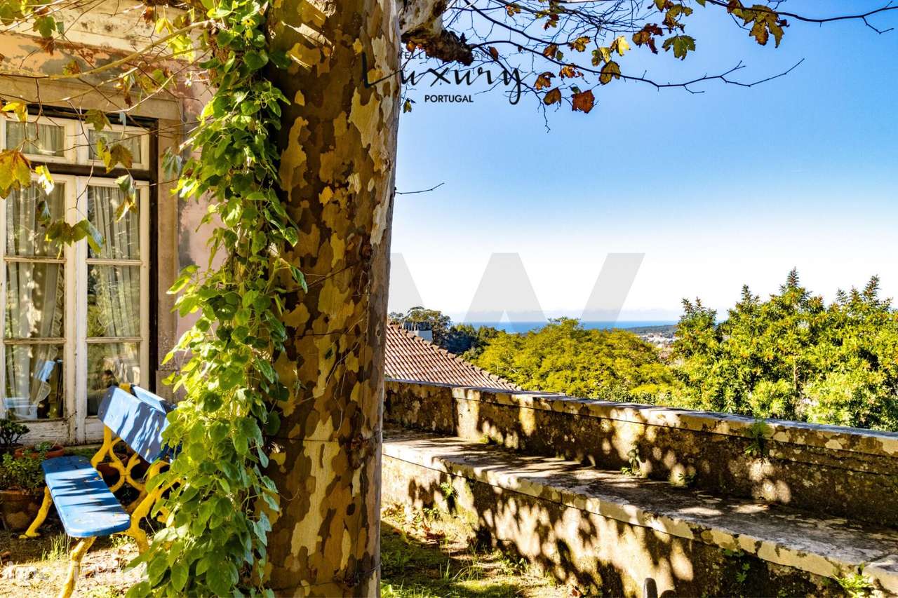 Quinta dos Lilazes – Um Refúgio Encantado no Coração de Sintra - Grande imagem: 4/60