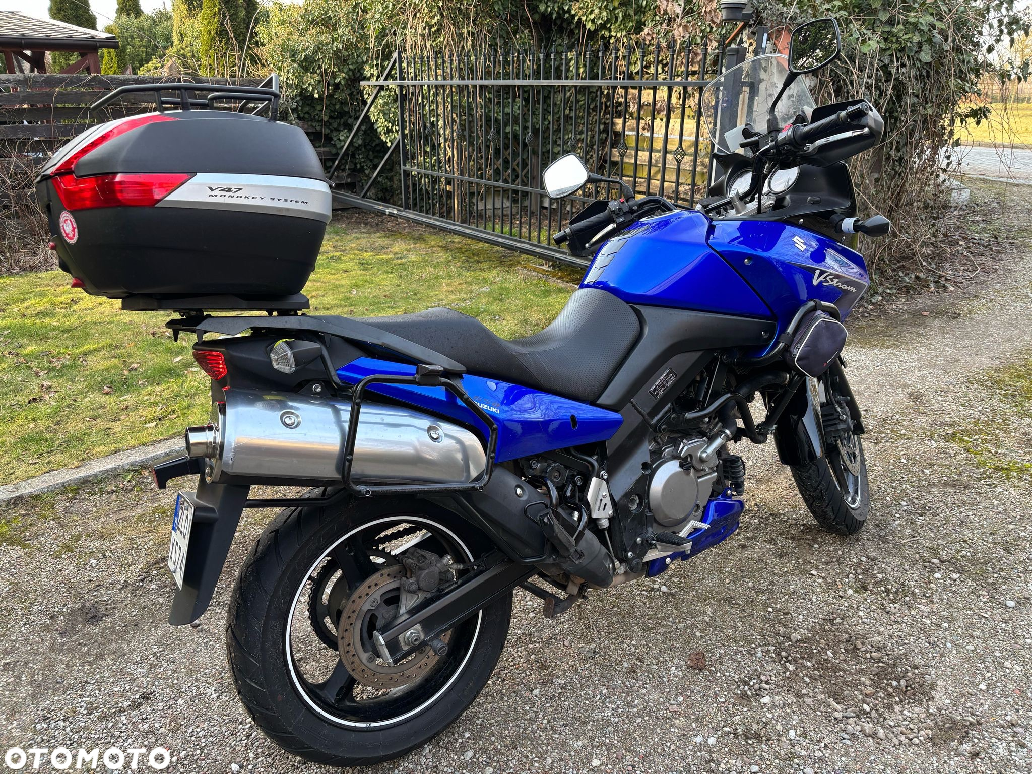 Suzuki DL - 11