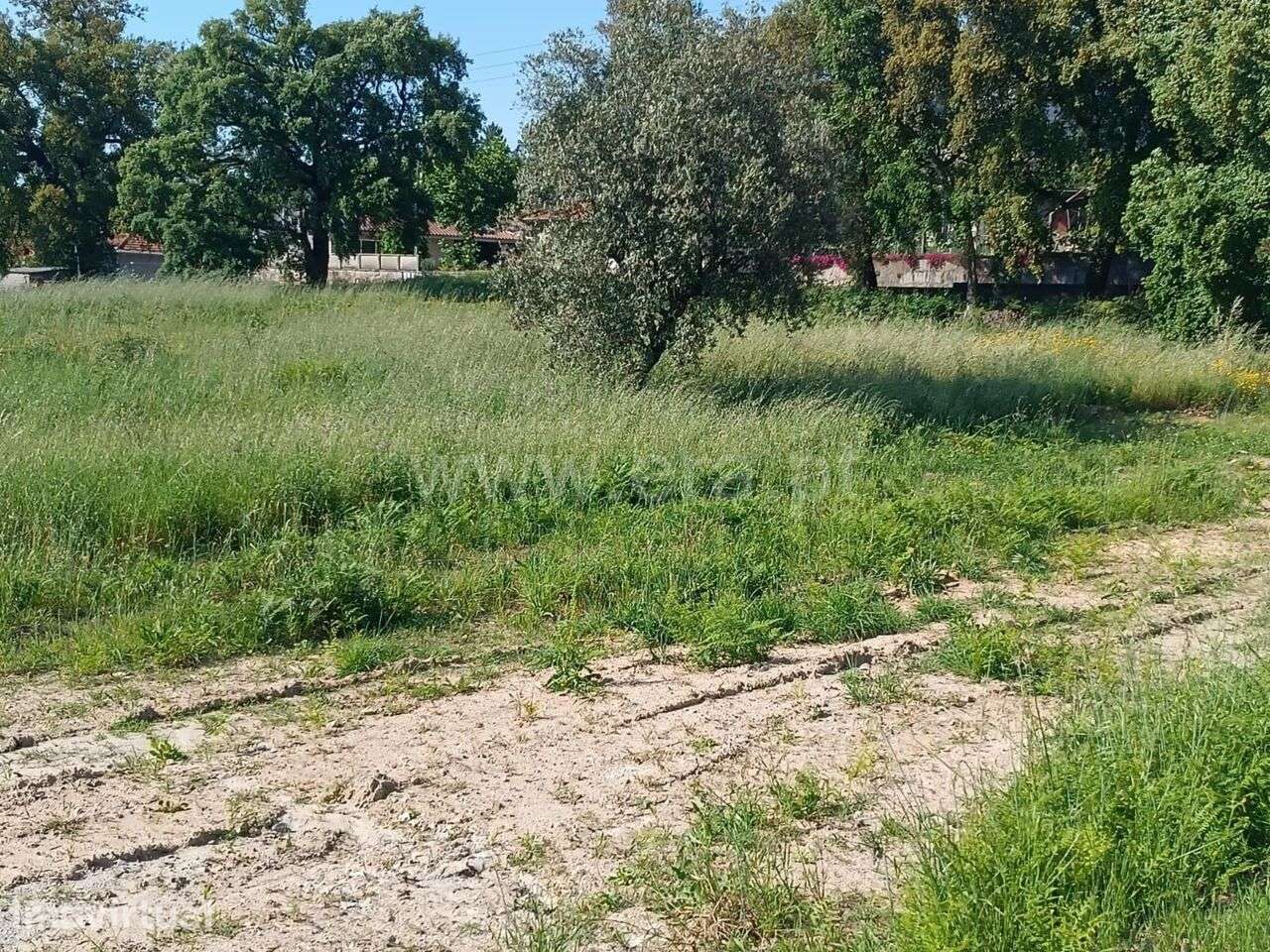 Terreno / Marco de Canaveses, Alpendorada, Várzea e Torrão - Grande imagem: 2/2