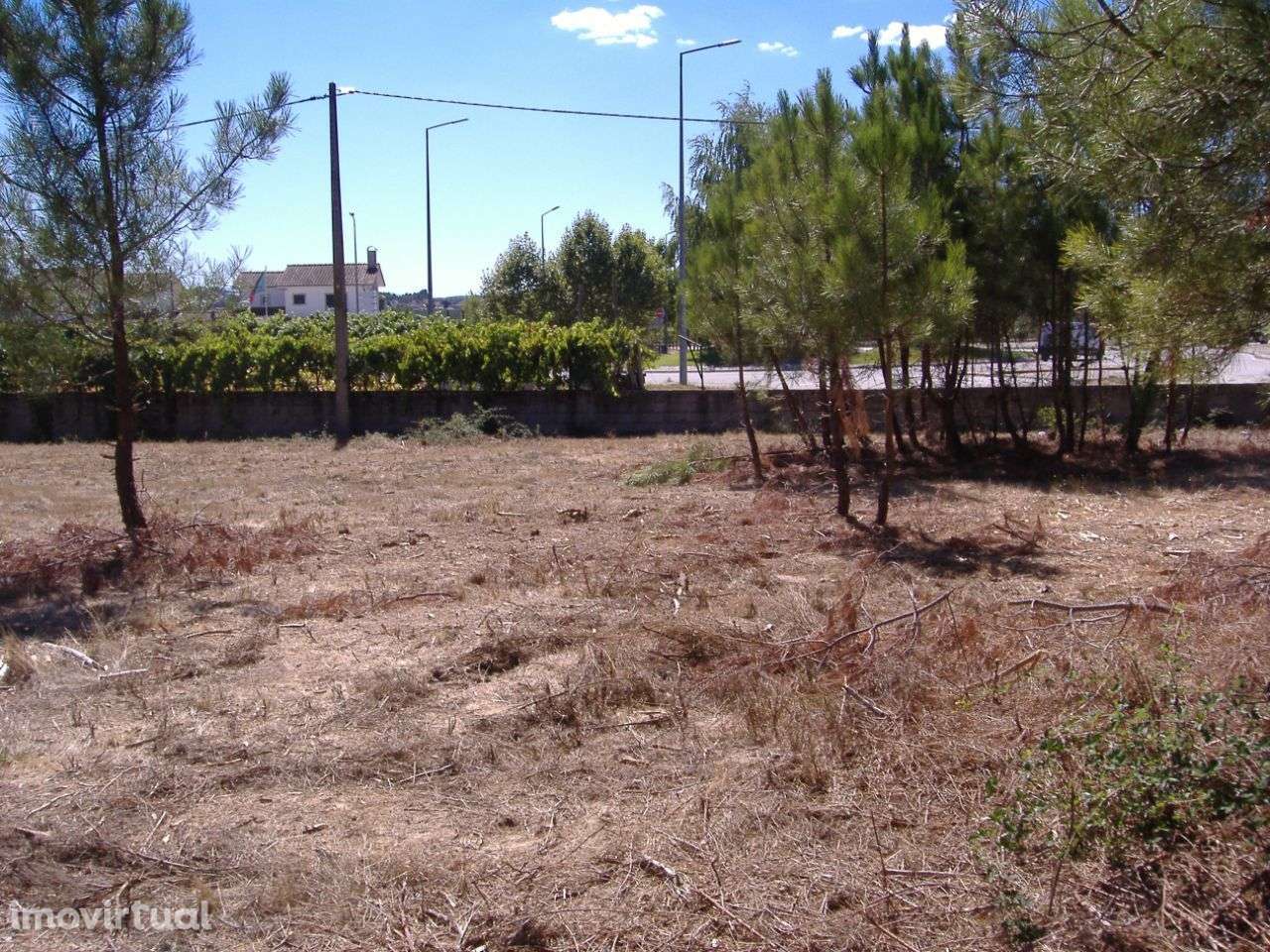 chaves santa cruz trindade - Grande imagem: 3/9