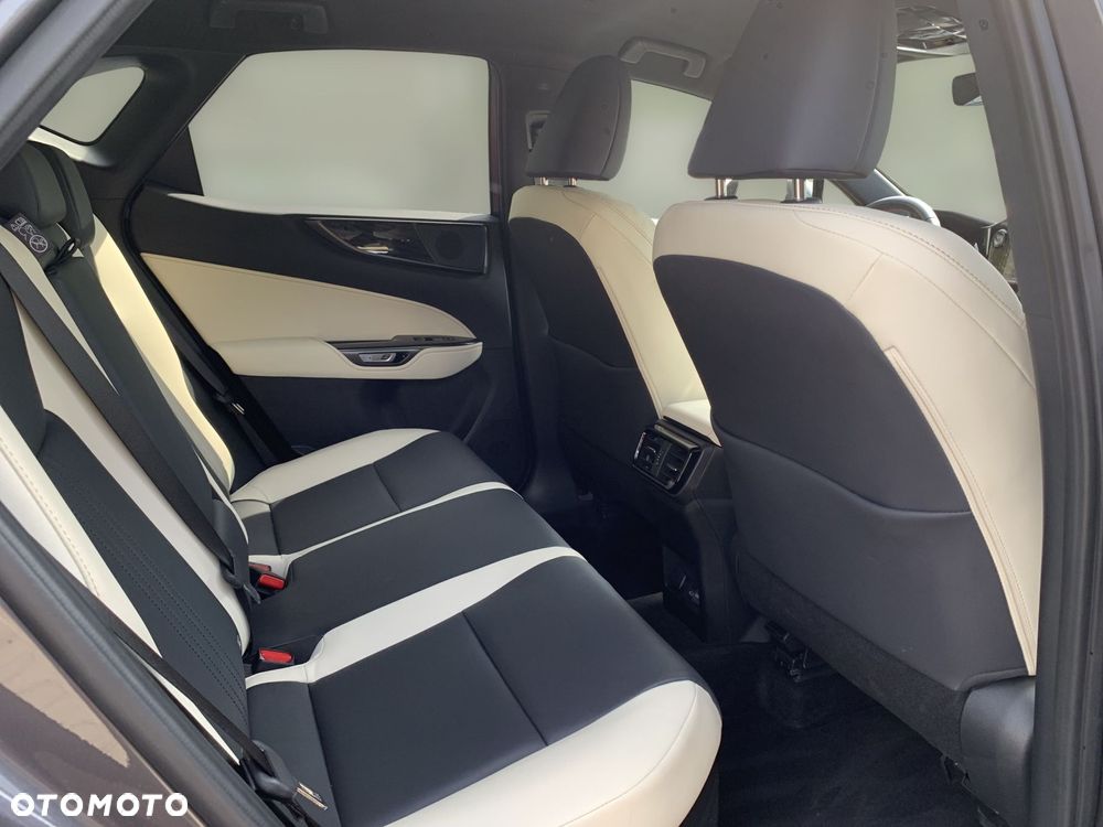 Lexus NX - 11