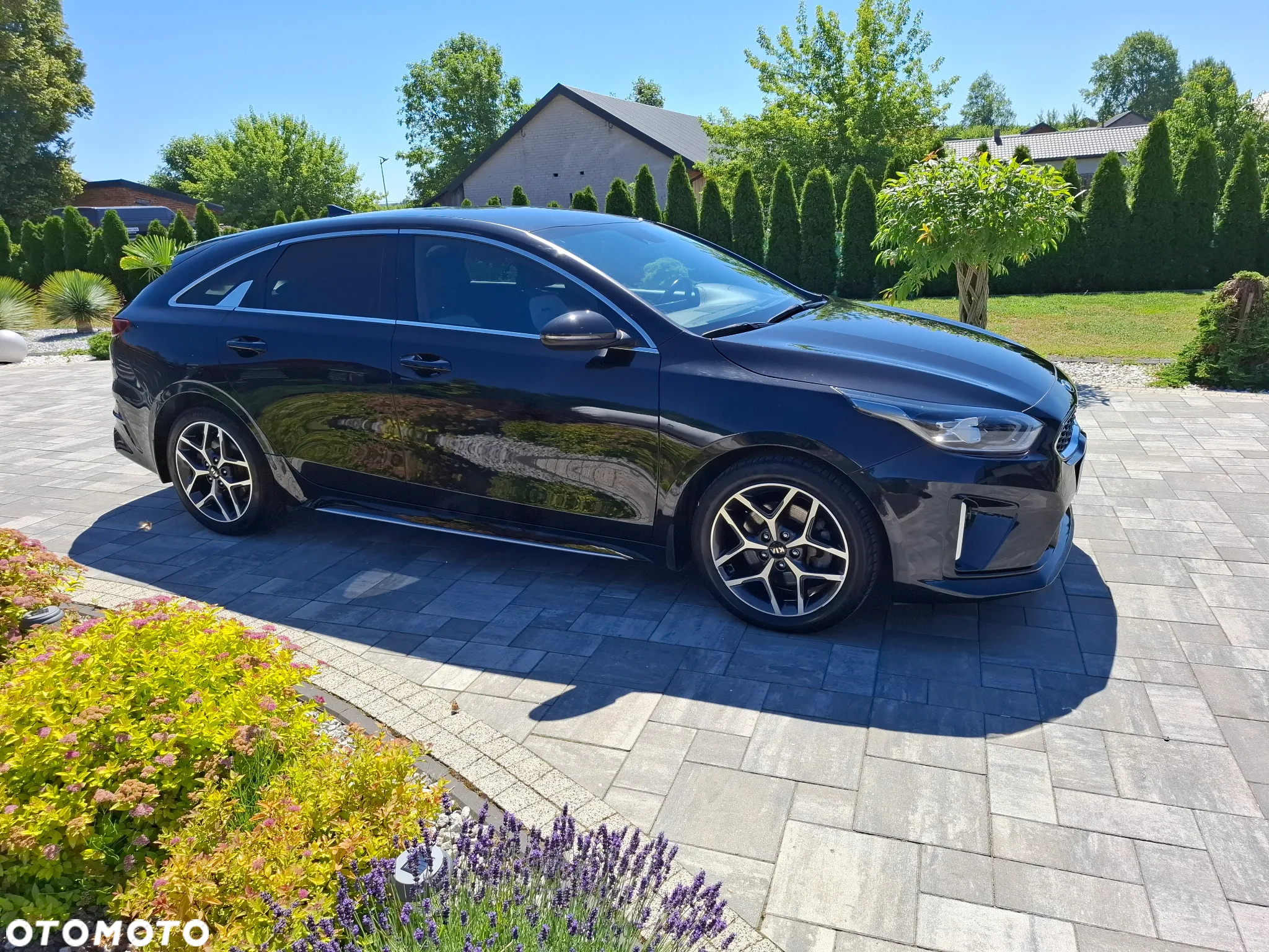 Kia ProCeed 1.5 T-GDI GT Line - 14