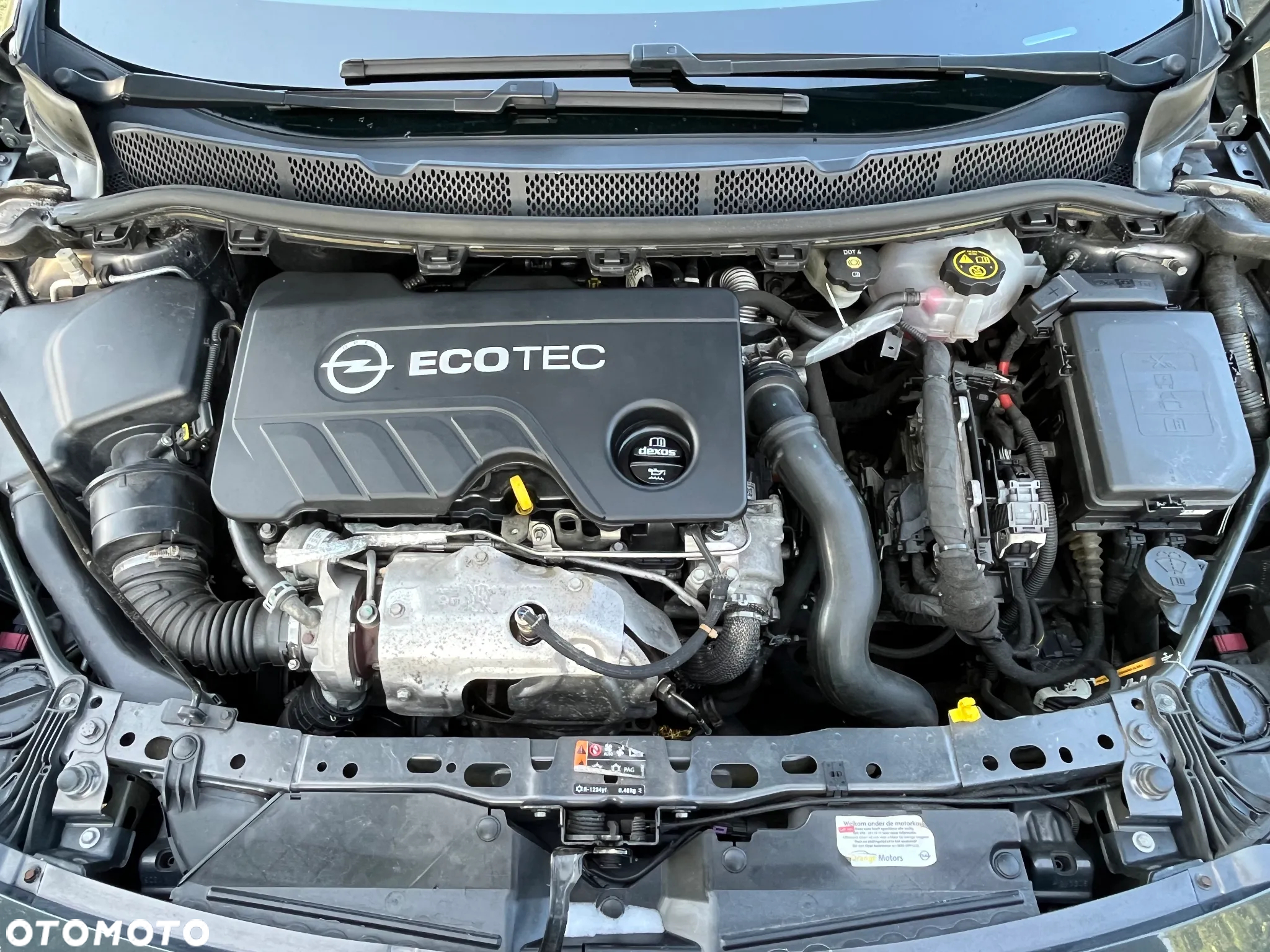 Opel Astra IV 1.6 CDTI Sport - 23