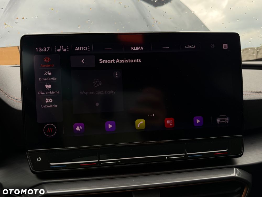 Cupra Formentor 2.0 TSI 4Drive VZ DSG - 29