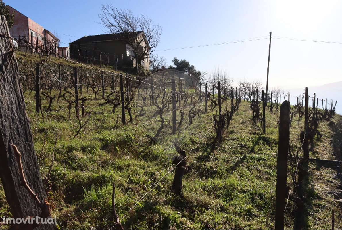 Terreno  para venda - Grande imagem: 5/7