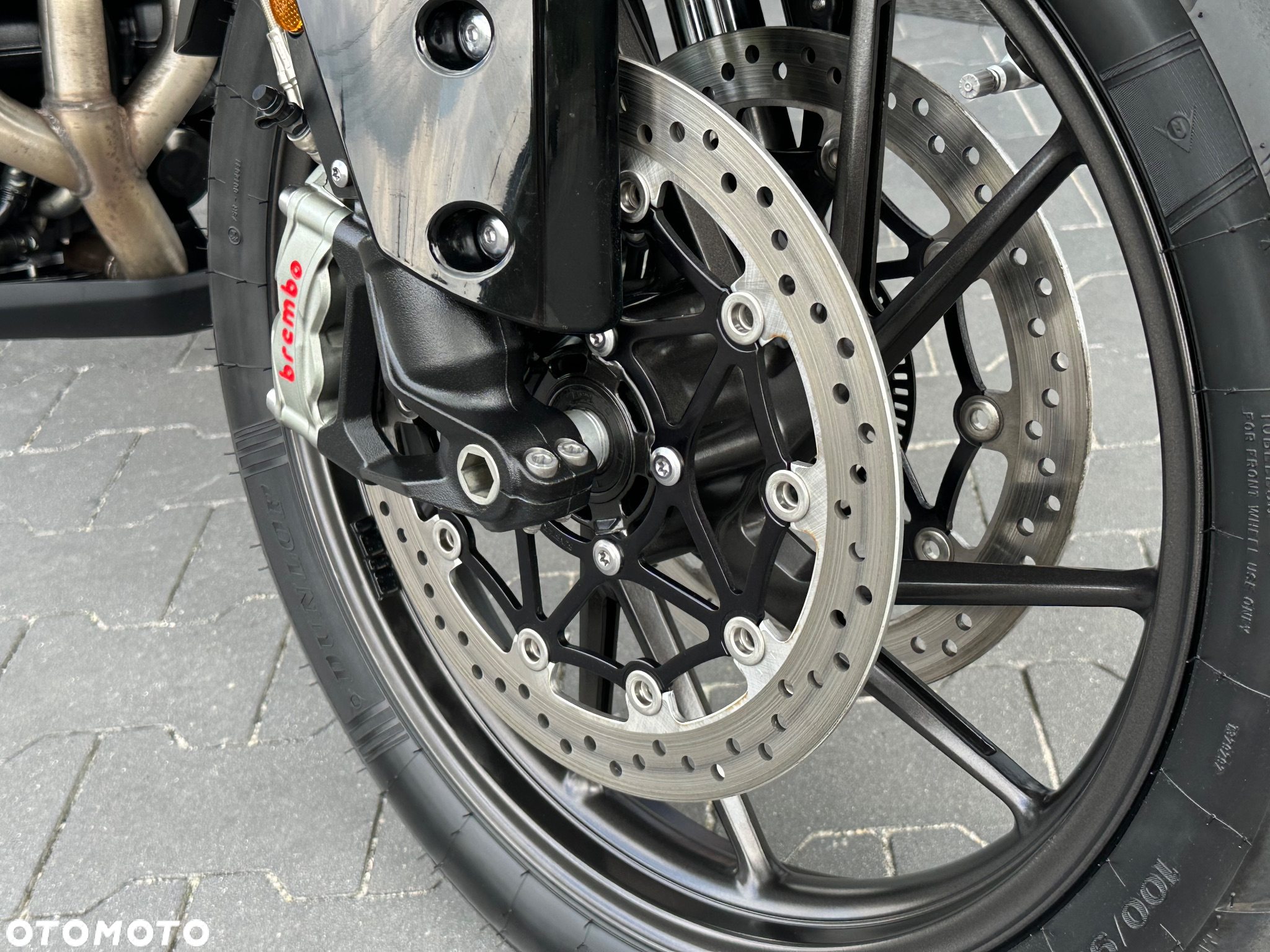 Triumph Tiger - 20