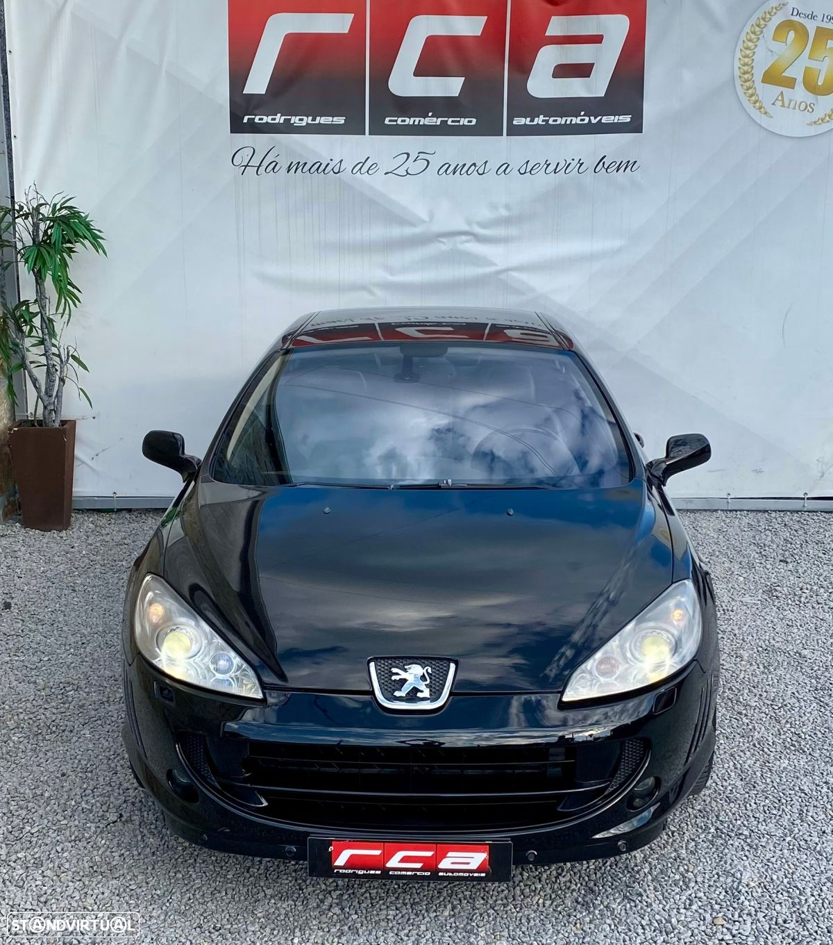 Peugeot 407 - 24
