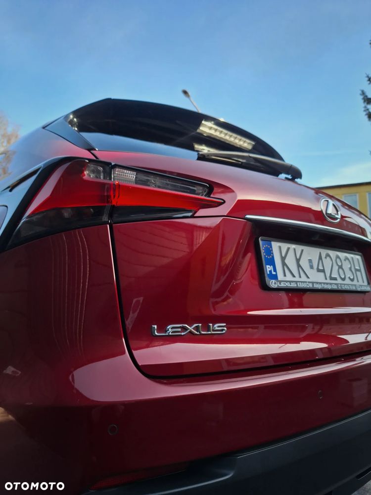 Lexus NX 200t Prestige AWD - 21