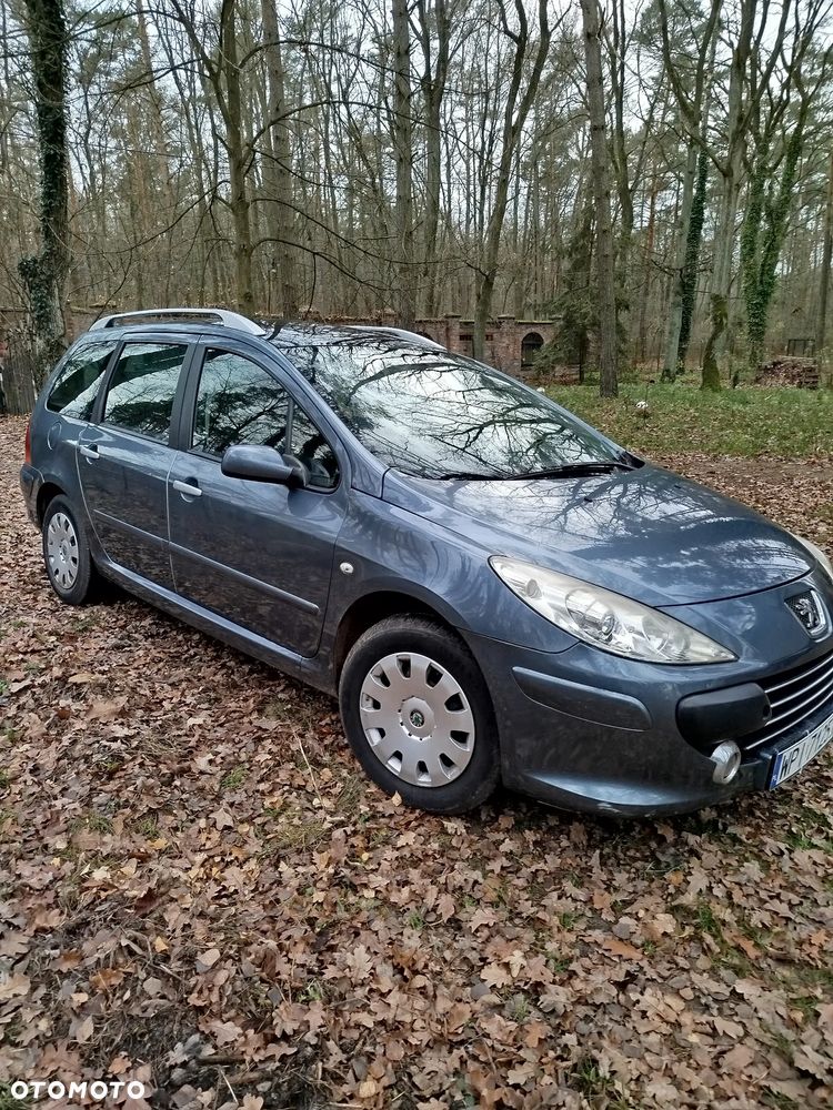 Peugeot 307 - 1