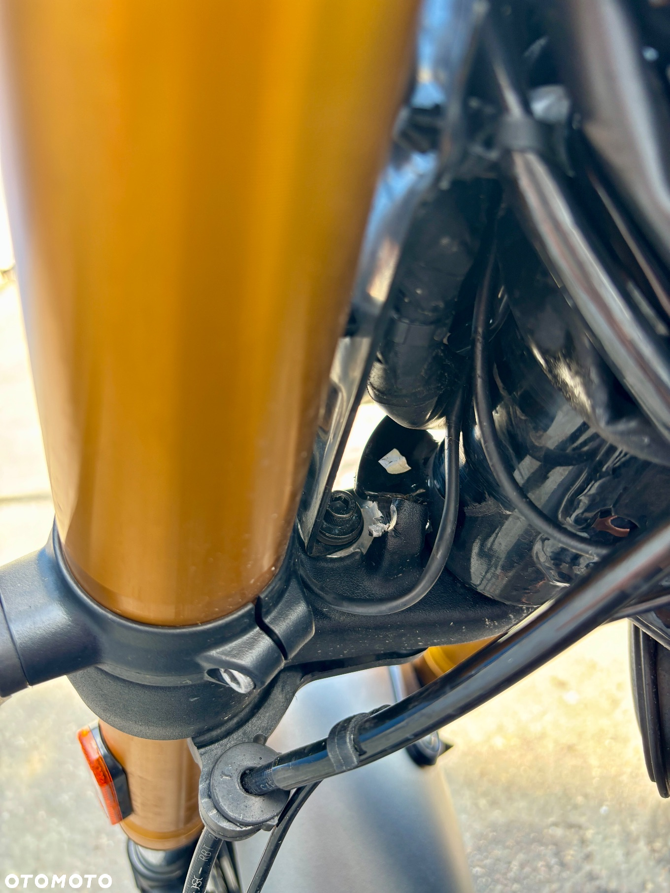 Triumph Inny - 10