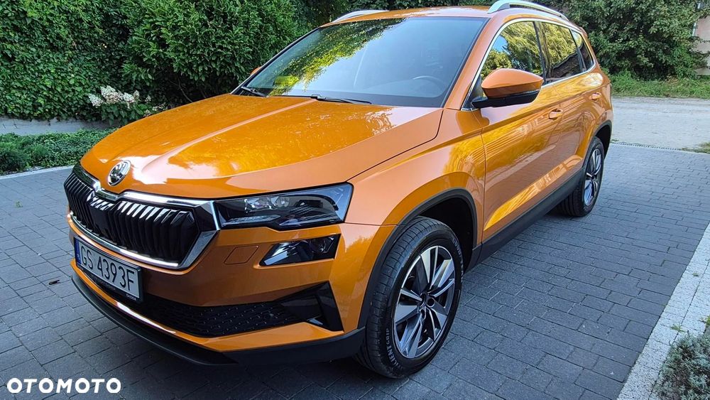 Skoda Karoq - 1