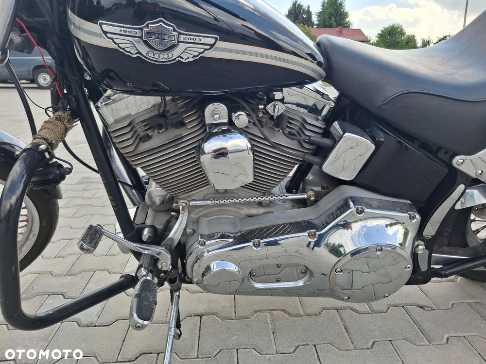 Harley-Davidson Softail Standard - 3