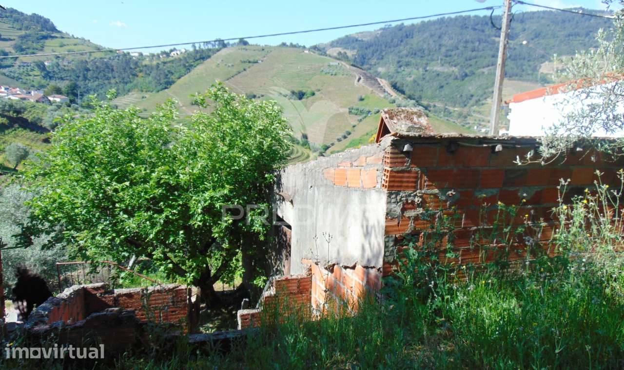 Conjunto de 2 casas de campo p/recuperar em Vila Real - Grande imagem: 5/35
