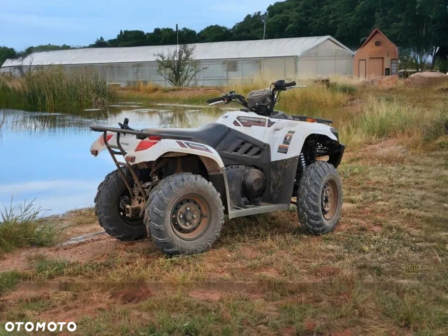 Kawasaki Brute Force - 6