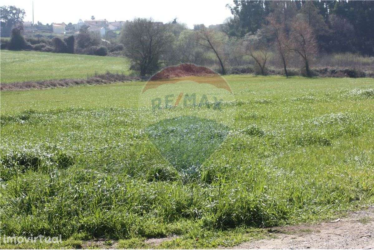 Terreno  para venda - Grande imagem: 5/8