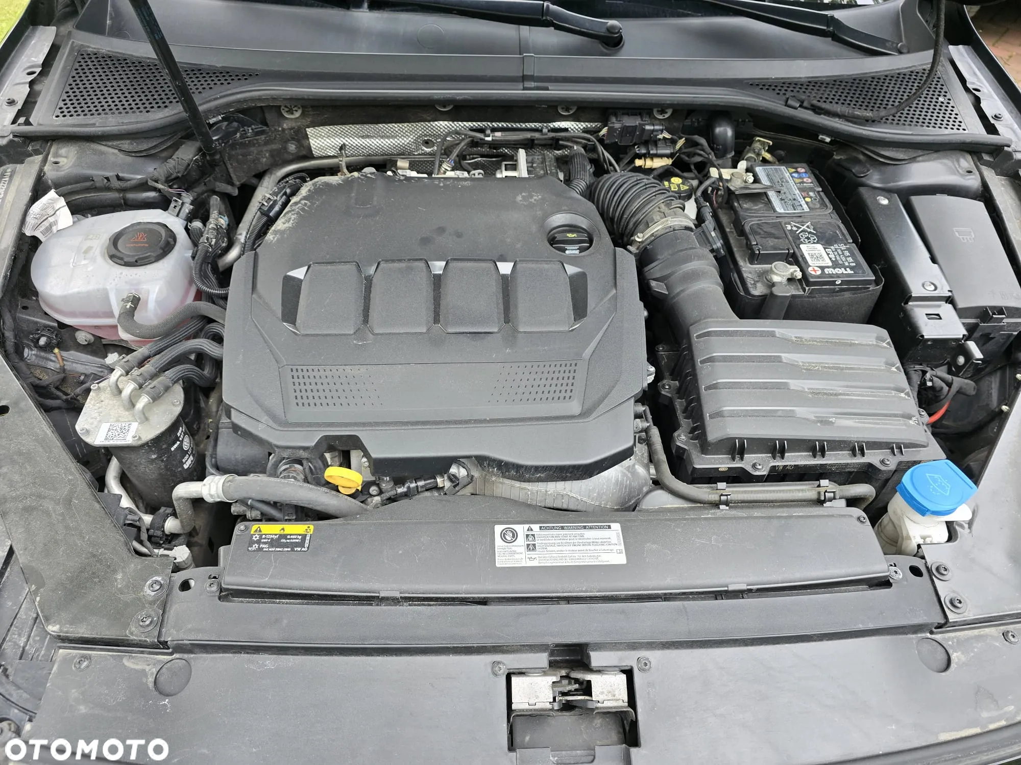 Volkswagen Passat - 8