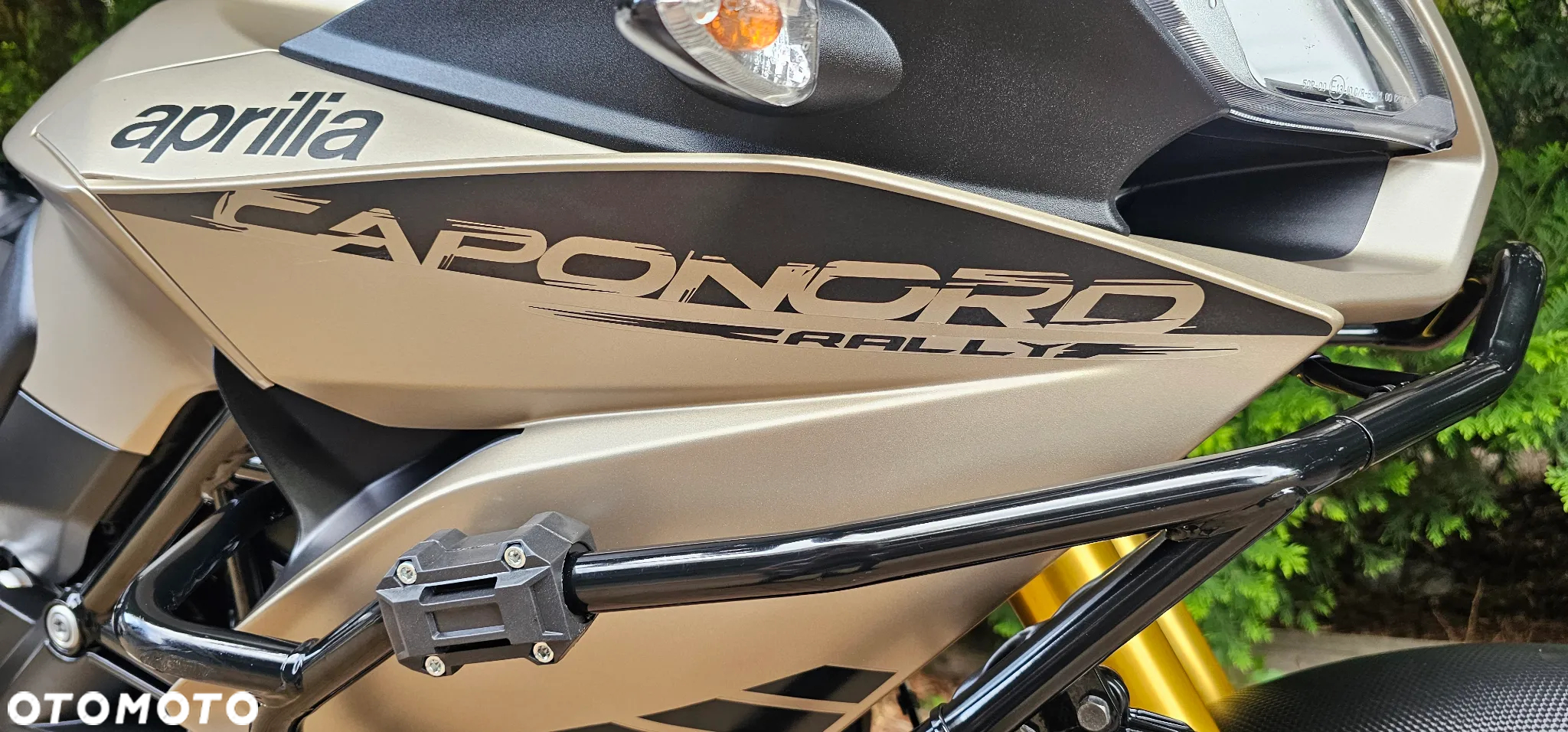 Aprilia Caponord - 10