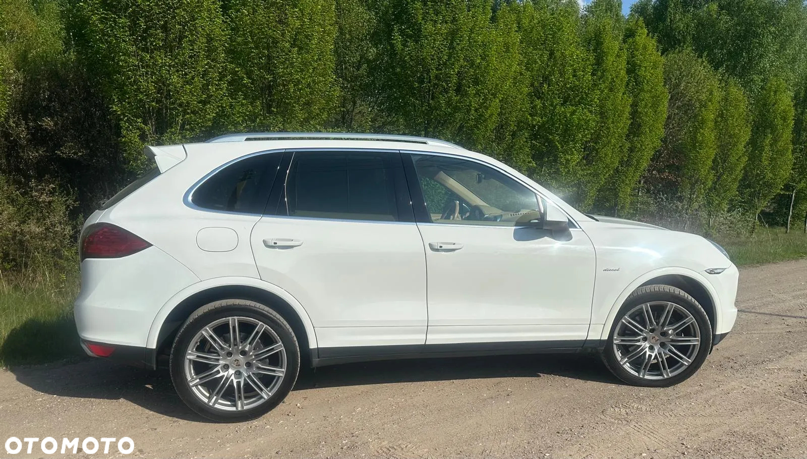 Porsche Cayenne Diesel Tiptronic S - 6