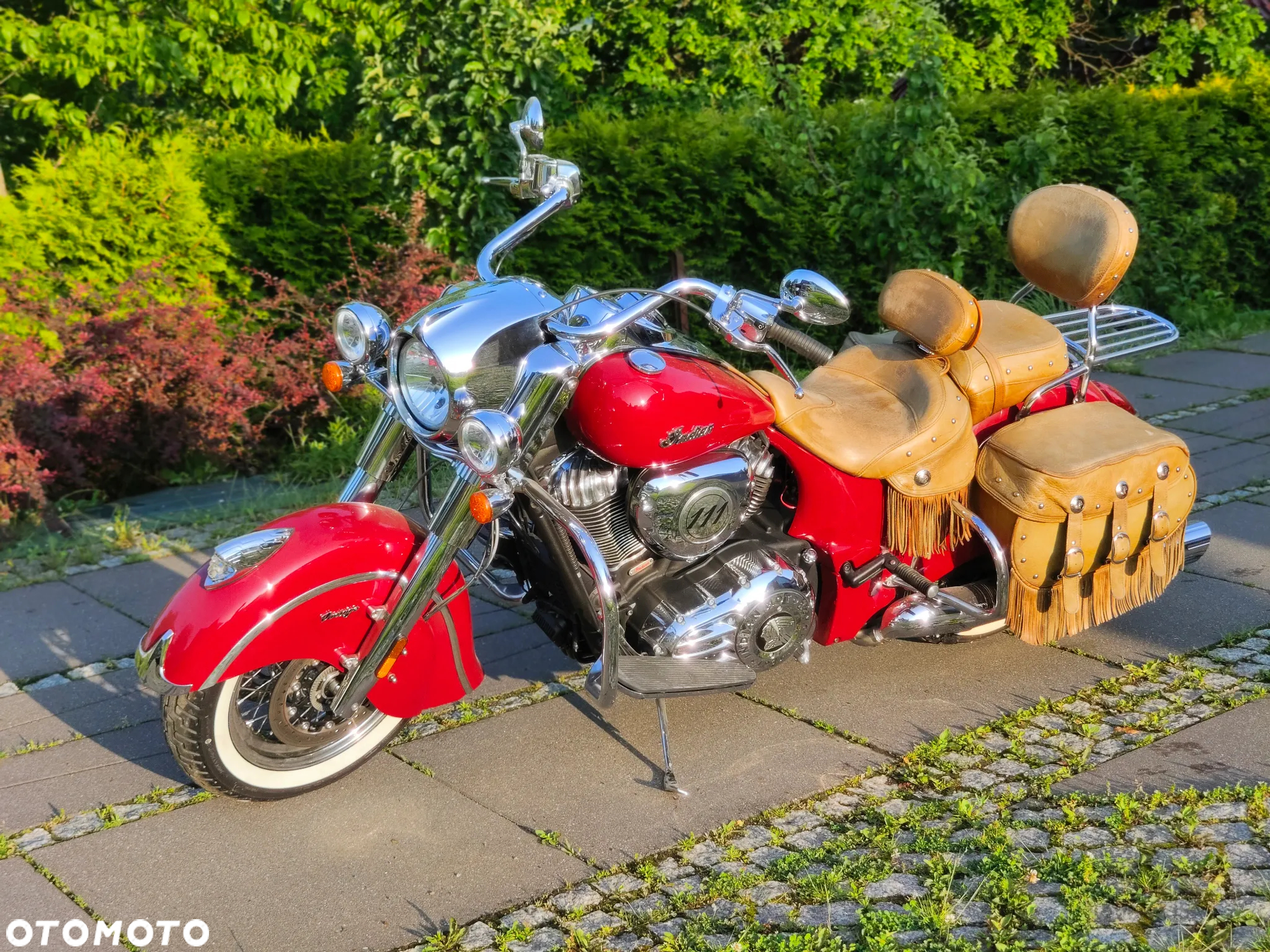 Indian Chief - 14